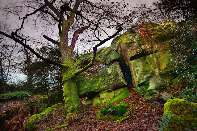 La Gorge aux Loups, forêt de Fontainebleau.