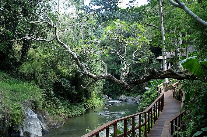 Conoce el pueblo de Ubud