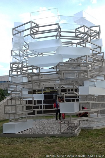 proyecto tamayo 4