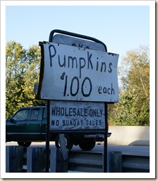 amish pumpkins $1