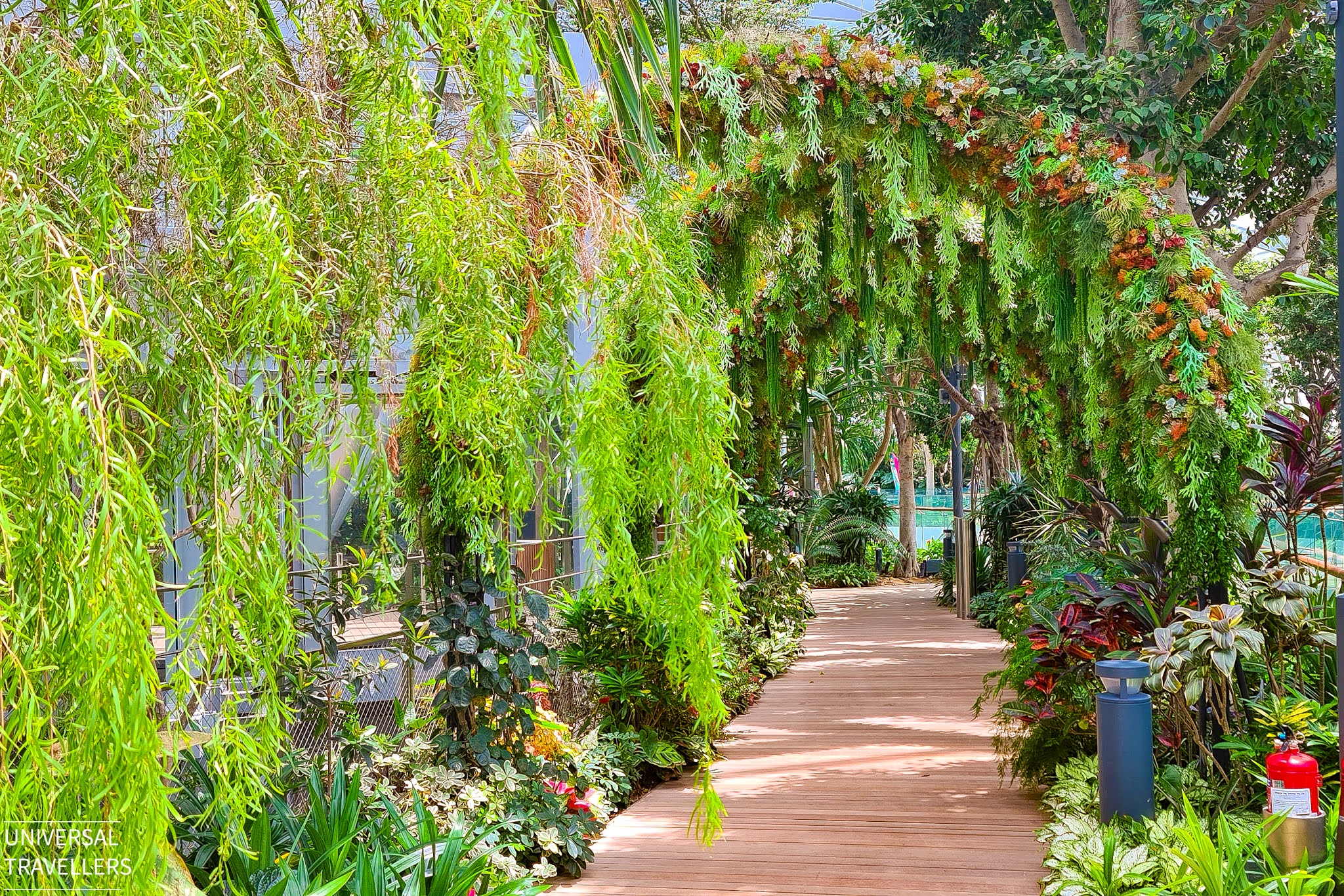 A flower arch inside the Petal Garden of Canopy Park, located at level 5 inside the Jewel Changi Airport