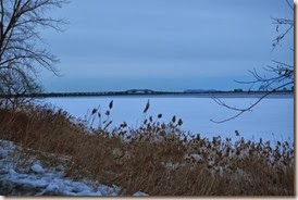 DSC_0213