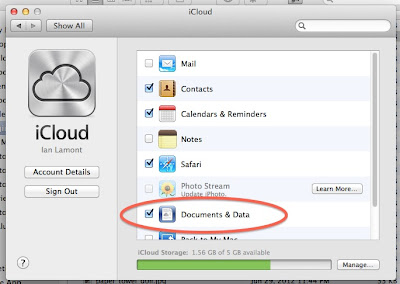 iCloud documents and data checkbox