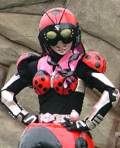 Kamen Rider Lady