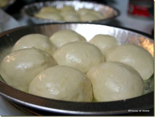Buttery Dinner Rolls After the Third Rise