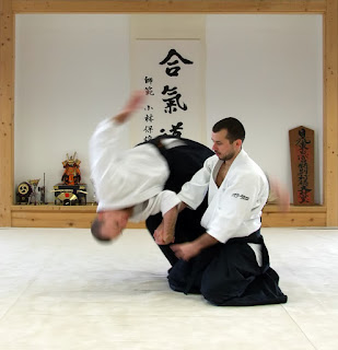 Aikido Throws