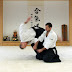 Are Aikido Throws Efficient, Effective and Safe