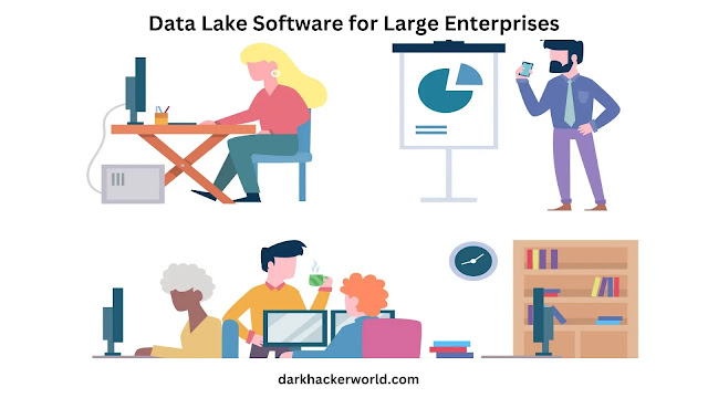 Data Lake Software for Large Enterprises