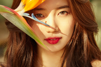 Get Bae Suzy Photoshoot Pictures