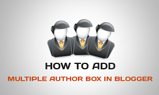 How To Add Multiple Author Box In Blogger