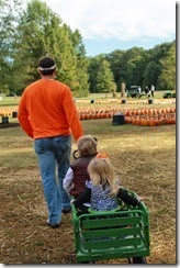fall 068