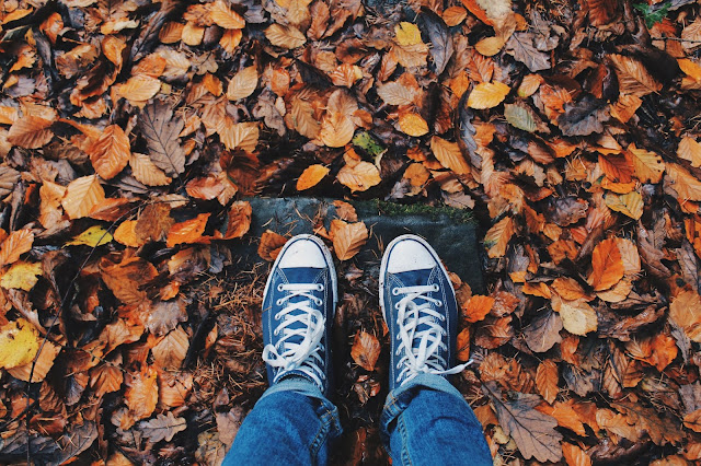 Outside, view from above of shoes on leaves