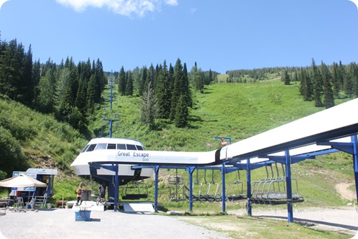 Schweitzer 025