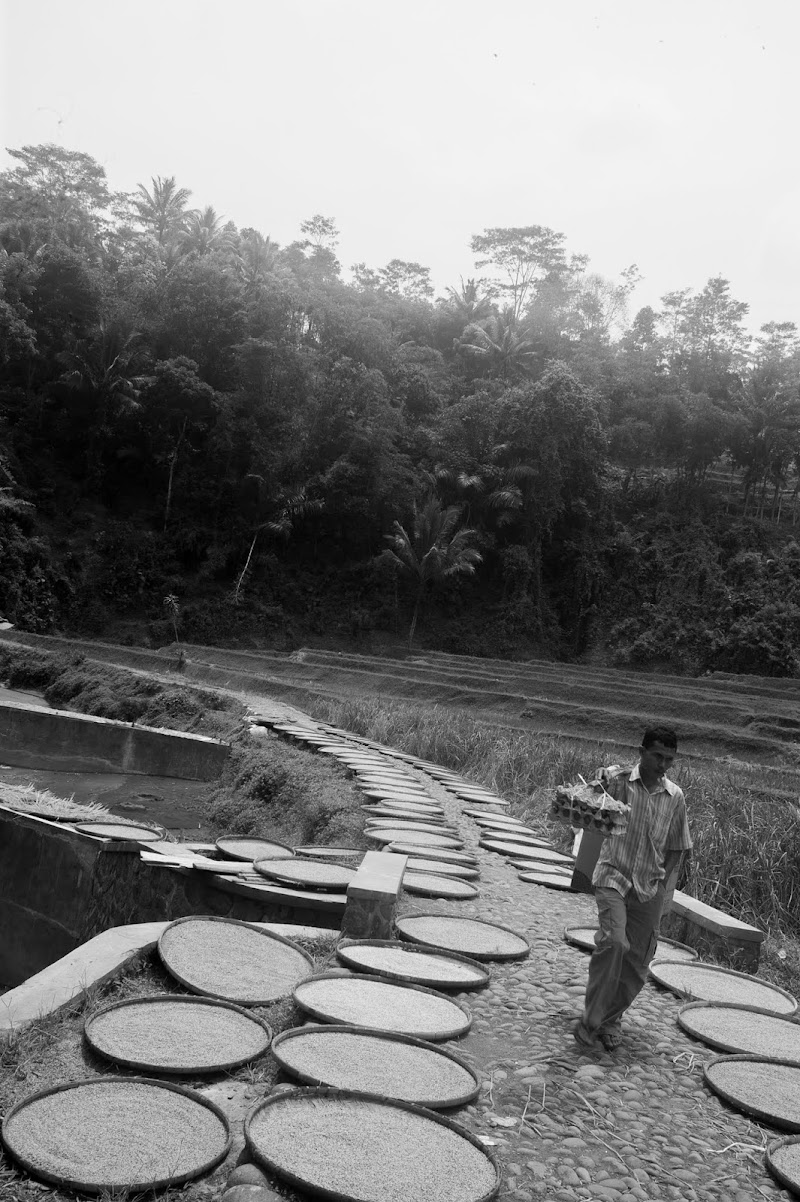 Kisah Penjual Telur Kampung Sebelah