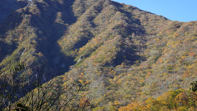 鳥取県西伯郡大山町大山 行者登山道からの眺望