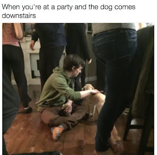 Meme about being at a party with a dog