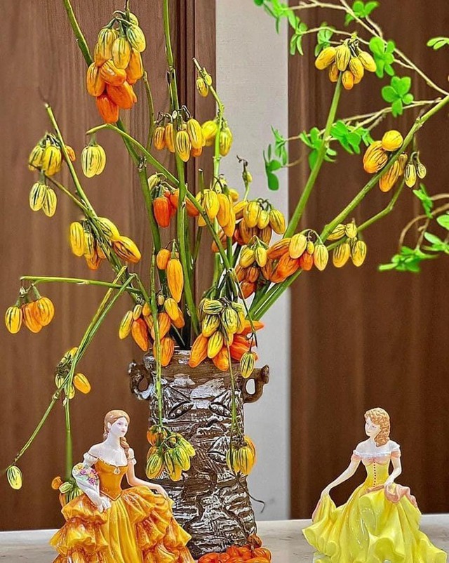 Mới lạ cành quả cắm <a href=