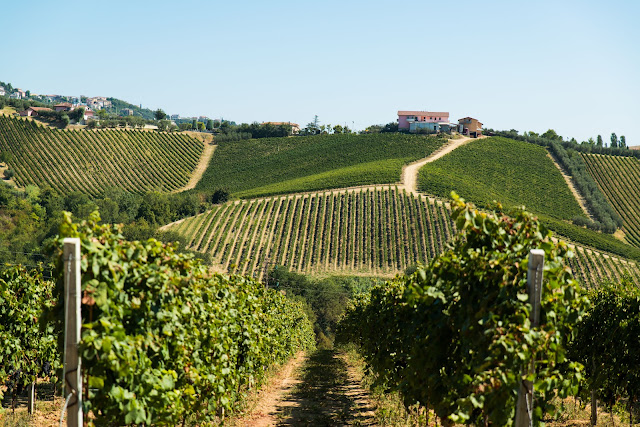 Il Conte Villa Prandone winery in Ascoli Piceno