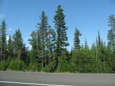 2010-07-28 080