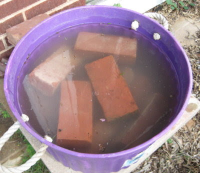 Soaking the bricks in preparation for the mortar