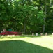 View album