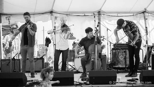 The Fretless at Hillside Festival on July 22, 2022 Photo by John Ordean at One In Ten Words oneintenwords.com toronto indie alternative live music blog concert photography pictures photos nikon d750 camera yyz photographer