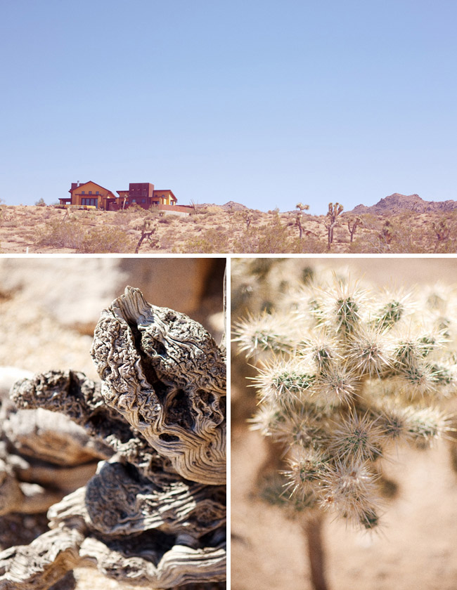 What a beautiful backdrop for a wedding Joshua Tree Wedding photography