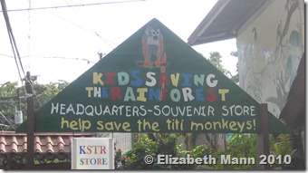 kids saving the rainforest