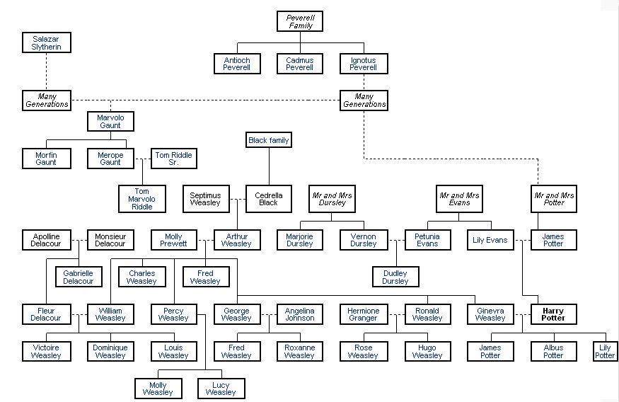 Silsilah Keluarga Antara Harry Potter dengan Lord 