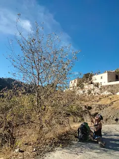 Aline is sitting on a road at an almond tree, picking almonds