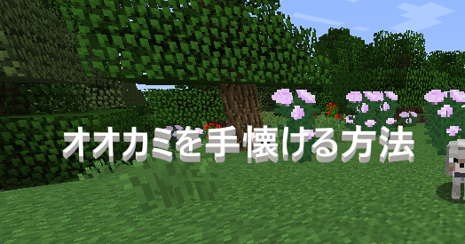 マイクラ オオカミがいる場所と手懐ける方法 ゲーム備忘録 マイクラ オオカミがいる場所と手懐ける方法 ゲーム備忘録