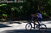 DSC_0681