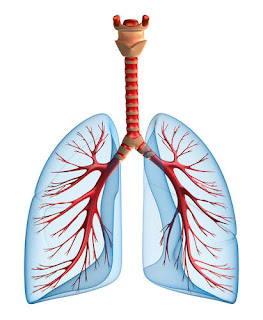 Stiri medicale despre eficienta tratamentului pneumoniei la domiciliu