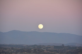 Full moon at dusk: LadyD Books
