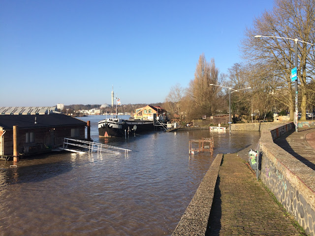Hoog water, Boterdijk, Arnhem, 8 januari 2018. Foto: Robert van der Kroft