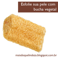 http://maisdoquelindeza.blogspot.com.br/2013/04/voce-esfolia-sua-pele-bucha-vegetal-e.html