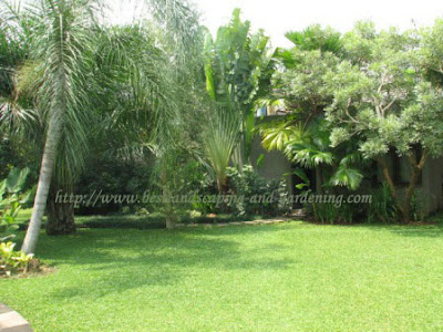 Tropical style garden pictures