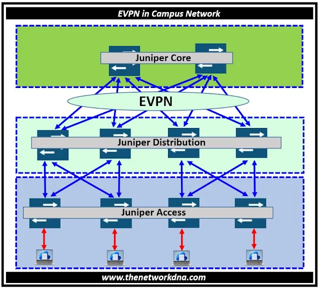 EVPN Juniper Campus