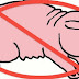 The reason why pork forbidden in Islam - Islamic Information