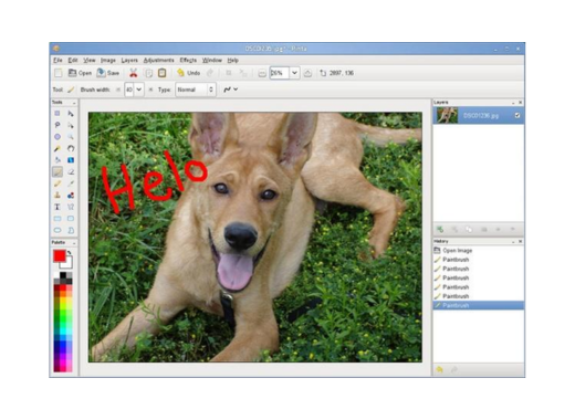 Ubuntu - Descubra o Pinta: Sua Alternativa ao MS Paint no Ubuntu