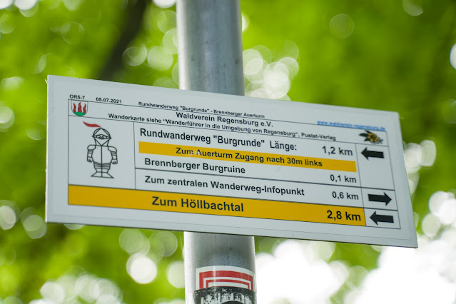 Burgensteigrunde zwischen Brennberg und Frauenzell | Wandern im Regensburger Land 02