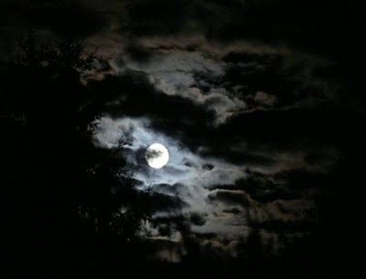 2007_07_28_Full Moon 023