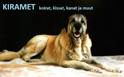 Kiramet anatoliankoirat