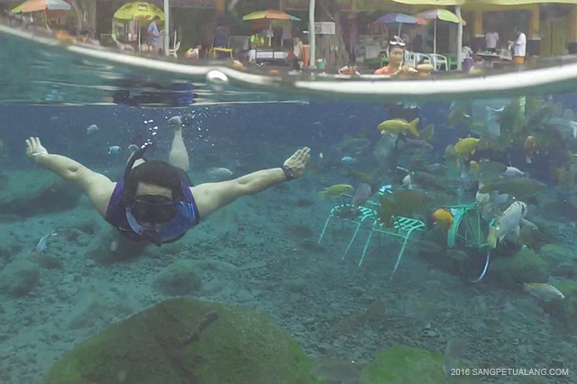 Snorkeling di Umbul Ponggok