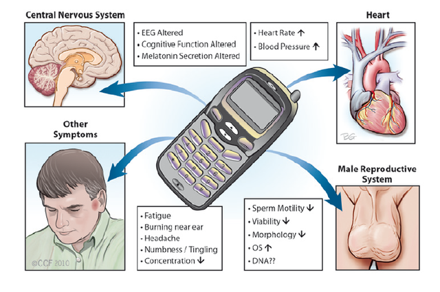 disadvantage from mobile phones