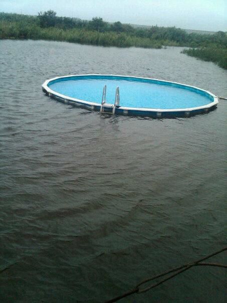 louisiana the only place where sometimes you have to swim to get to the swimming pool