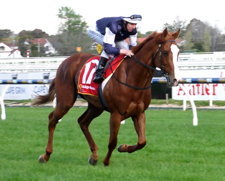 race 8_the united states 3