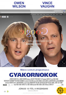 Gyakornokok (2013)