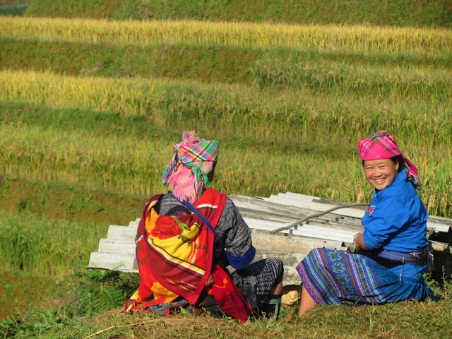 Some photos of Sapa during harvest season !