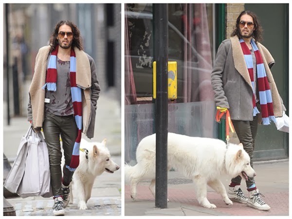 Aviator Glasses & Dog--Man's Best Friend